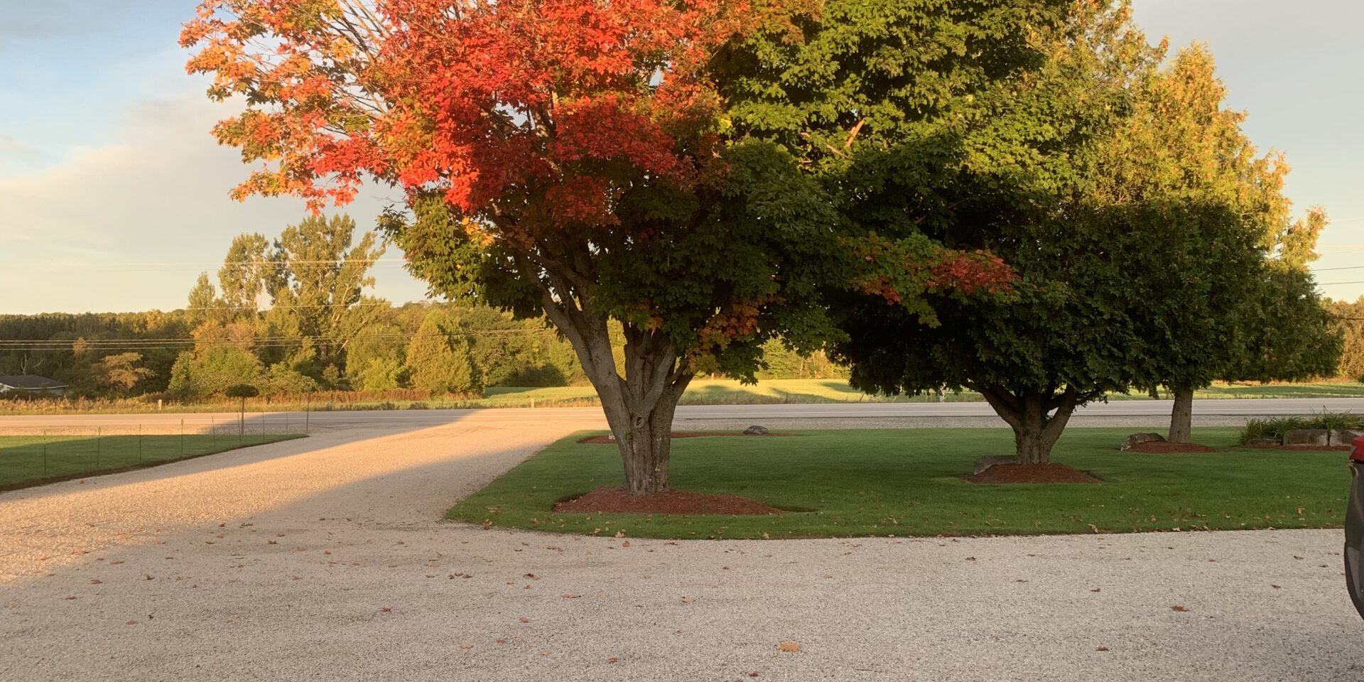 D2603212-C4E9-4B72-BDBC-6B8FD989864F