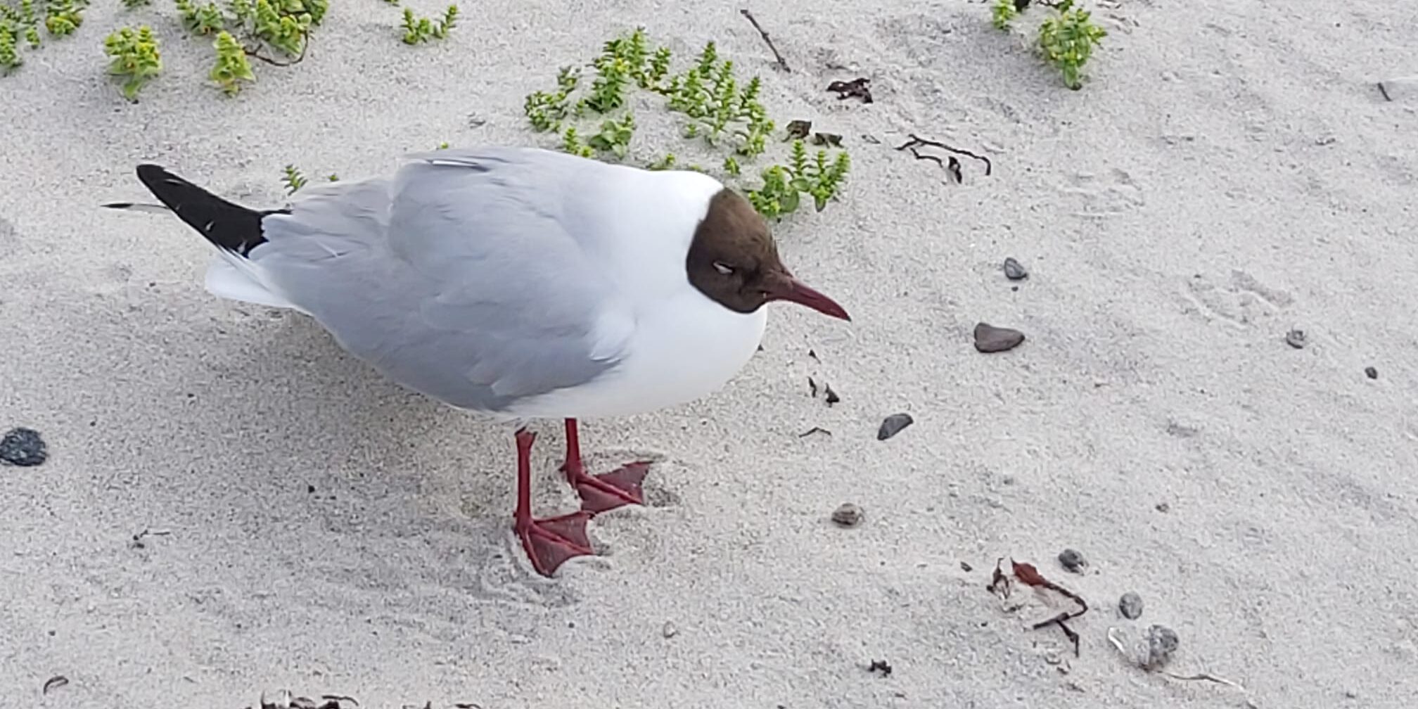 3a0bed04-4eb4-4f70-9d73-2a79a22662ea