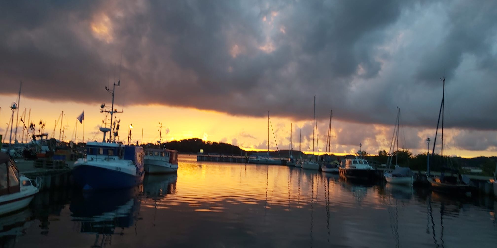 2f204dfb-a252-4529-9da0-ca5834de0f68